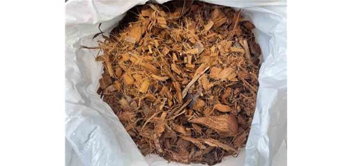 云南低盐椰壳使用需要注意什么呢？