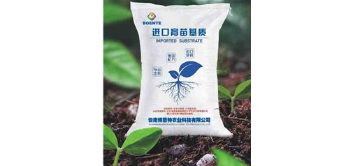 云南蓝莓育苗基质对种植有何影响？