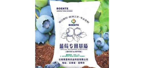蓝莓混合基质的消毒处理有哪些有效方法，怎样避免消毒对有益微生物的过度破坏？