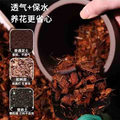 低盐椰壳4