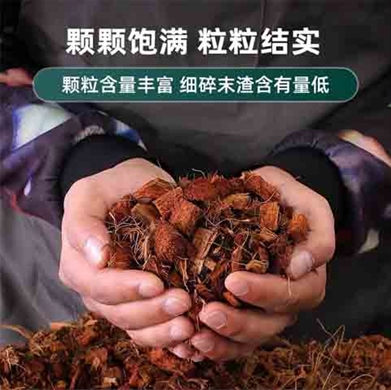 低盐椰壳3