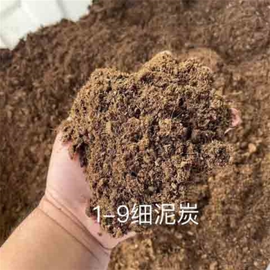细泥炭