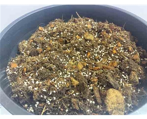 蓝莓栽培基质